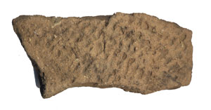 Fabric-Marked Woodland Phase (1000 BC - AD 1600) Potsherd