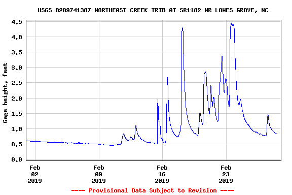A graph of the depth of the North Prong of Northeast Creek at Carpenter-Fletcher Road during the rainy month of February 2019