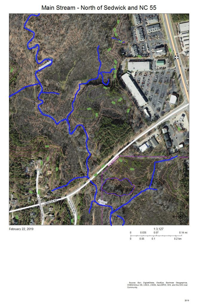 A map of the wetlands and stream channels of the main stream of Northeast Creek on either side of the Sedwick Road bridge.
