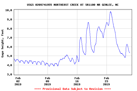 A graph of the stream depth of the main stream of Northeast Creek at the Grandale Road bridge during February 2019