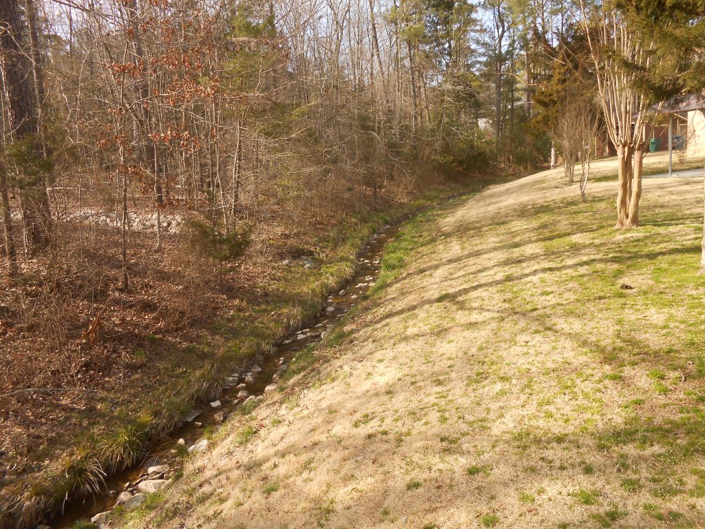 Tributary C at McCormick Road