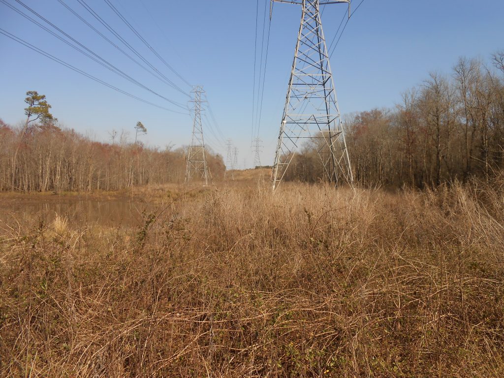 Open pool of Tributary C under power line