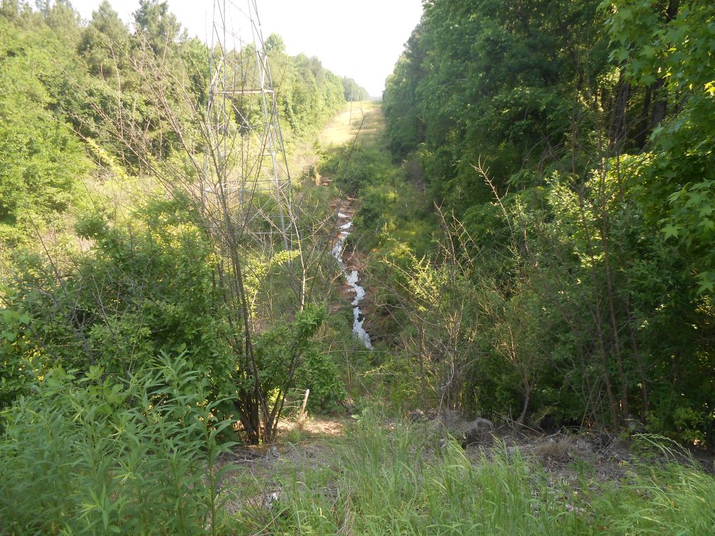 source of northeast creek near eastern connector