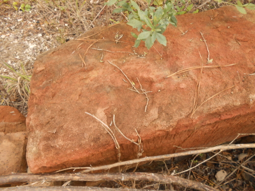 dressed red sandstone boulder in foundation of Bee James farmhouse